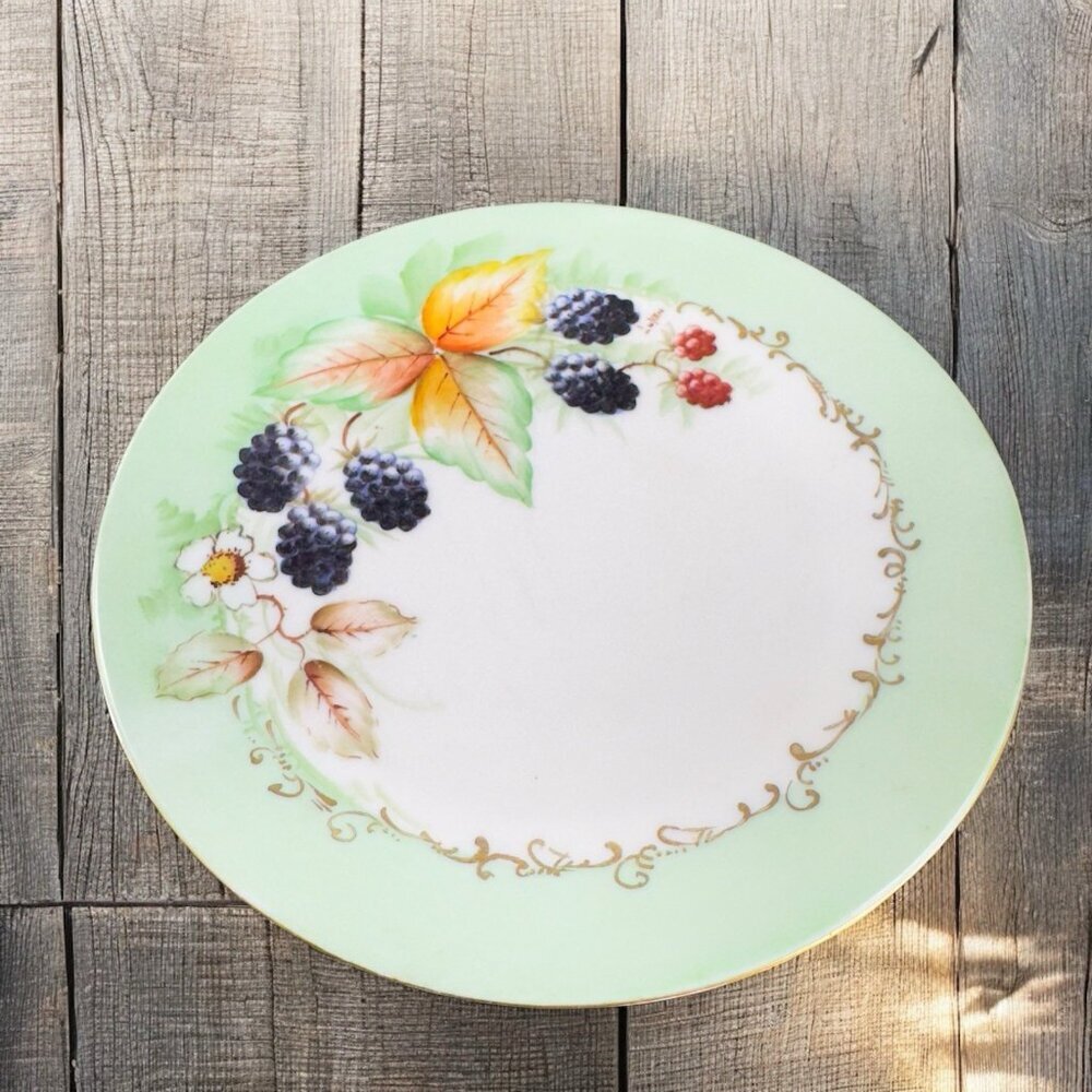 Antique Favorite Bavaria Germany Hand Painted Dish Plate‎ Fine Porcelain Signed